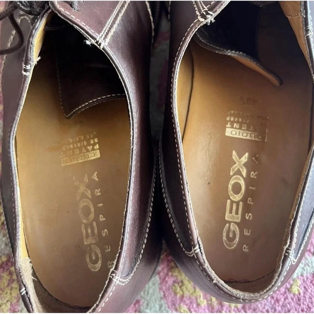 Geox stunning chocolate